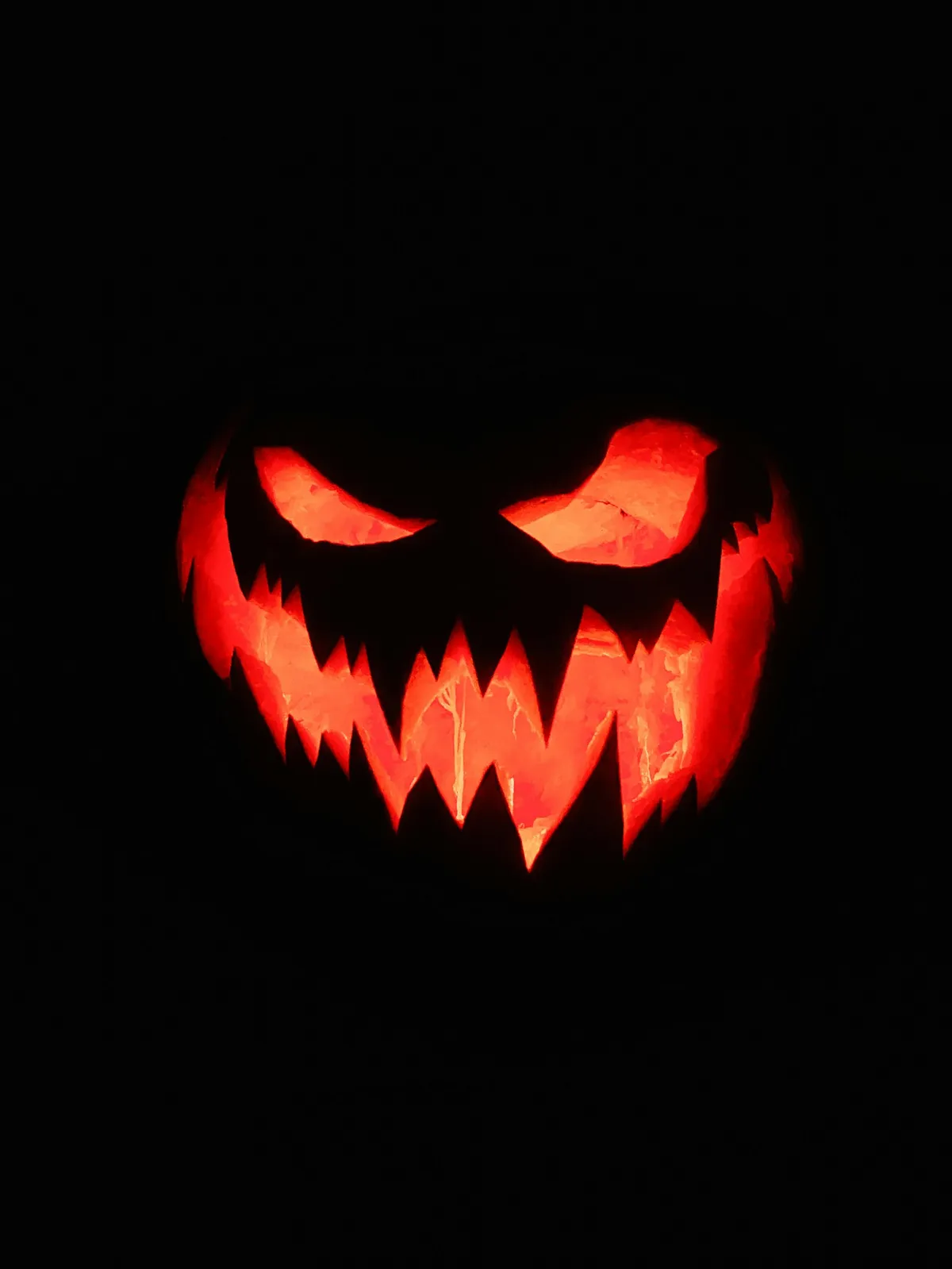 Chơi Halloween ở TP.HCM 2026: 8 chỗ nên đi, giá vé mới nhất Chơi Halloween ở TP.HCM 2026: 8 chỗ nên đi, giá vé mới nhất