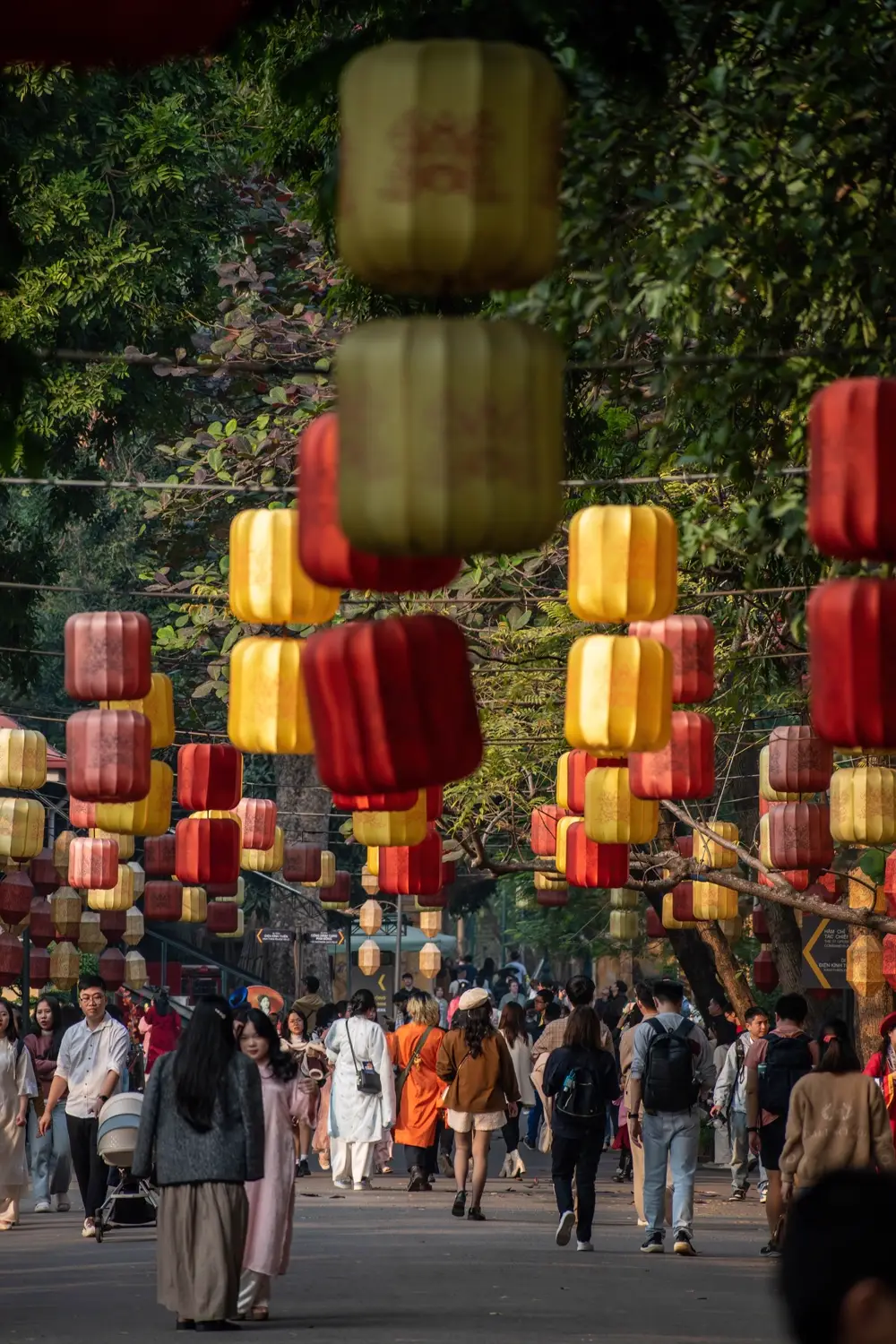 Lễ hội Kanagawa 2026 ở Hà Nội: lịch và địa điểm chi tiết Lễ hội Kanagawa 2026 ở Hà Nội: lịch và địa điểm chi tiết