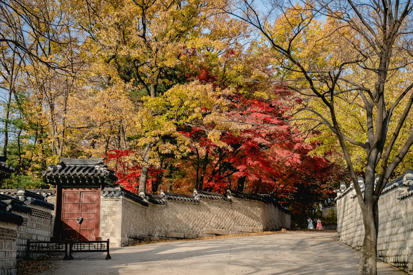 Cổng cung Gyeongbokgung giữa lá vàng lá đỏ mùa thu Seoul