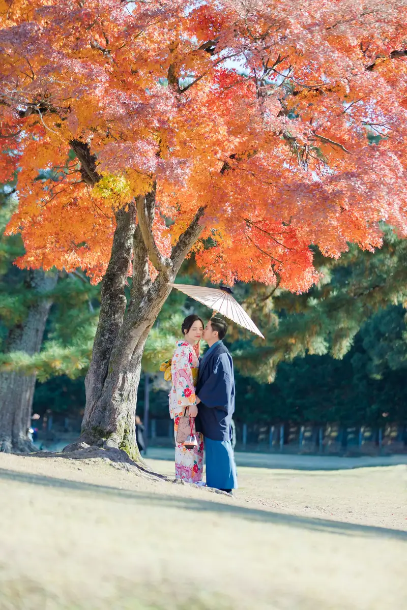 Cặp đôi mặc kimono đứng dưới ô giấy giữa tán phong đỏ mùa thu