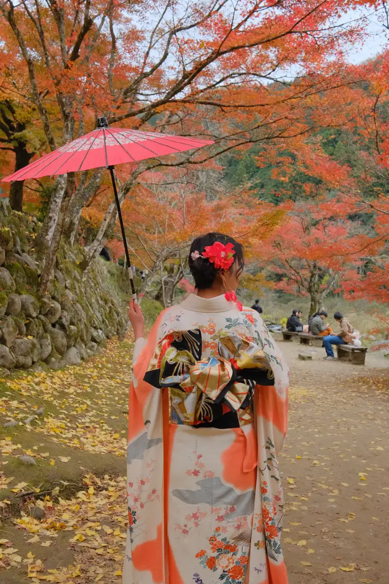 Người phụ nữ mặc kimono che ô giấy đỏ đi dưới tán phong đỏ ở Korankei